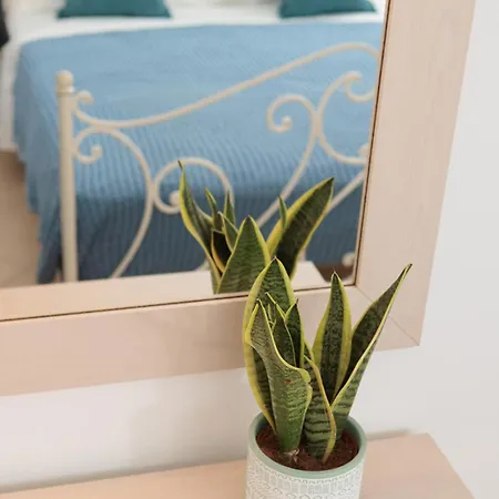 Apartment 9 Muses Naxos Kastraki (Naxos)