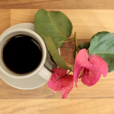 9 Muses Naxos Kastraki (Naxos)